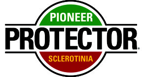 Pioneer protector sclerotinia